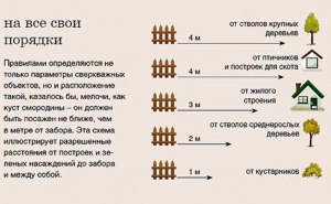 Могу я травить растения за забором, если эта территория принадлежит мне?