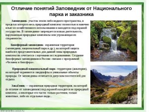 Экологическое право: чем отличаются заповедники, заказники, нац. парки?