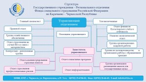 Существуют ли специалисты по проверке состава лицензионных соглашений?