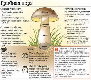 Как будет определяться: намеренно поднят гриб или по неосторожности?