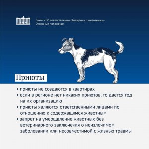 Какие существуют законы о защите животных в России и как они соблюдаются?