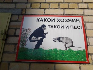 Как наказать хозяина собаки, гадящей на тротуар?