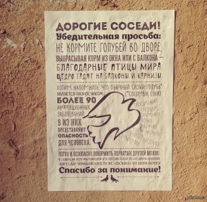 Куда жаловаться на кормление голубей под окнами?