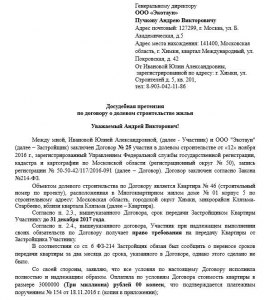 С какими документами обращаться в суд на застройщика за задержку сдачи?