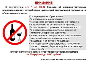 Разрешается ли в России быть пьяным в баре? Почему? Есть ли наказание?