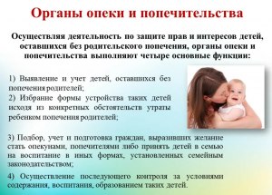 Правда ли, что органы опеки могут придираться на пустом месте? Почему?