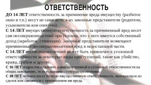 Будет ли в этом случае у меня ответственность за такие слова?