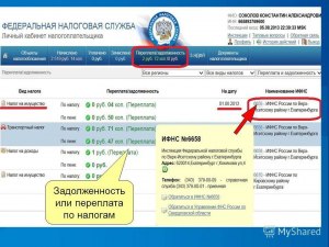 Какой срок давности по административным правонарушениям?