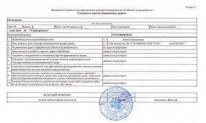 Технический паспорт есть в выписке ЕГРН или его надо получать отдельно?