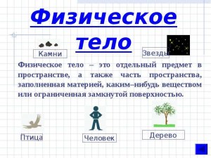 Что такое физическое тело?