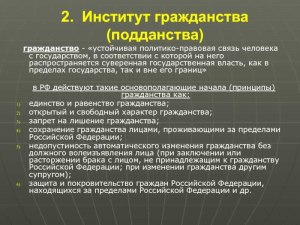 Что такое институт прекращения гражданства?