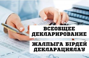 Какую форму декларации сдавать при всеобщем декларировании в Казахстане?