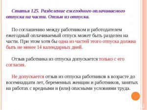 Как работодатель должен делить очередной отпуск?