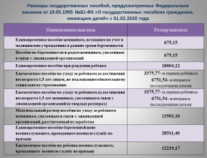 Какие социальные пособия положены иностранным гражданам в России?