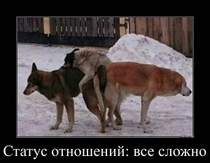 Если пес лает иногда на стоянке до 23 ч вечера,это наказуемо?