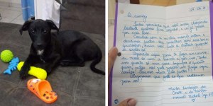 Как найти автора записки с помощью собаки?