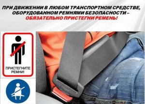 Что написано в документе о бесплатной газификации?