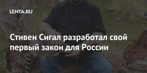 Какой свой первый закон для россиян разработал Стивен Сигал?