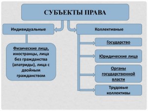 Кто из земных существ является субъектом права?