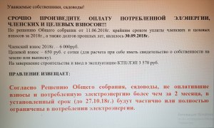 Обязаны ли садоводы оплачивать долги бывшего председателя?