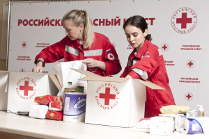Какими делами занимается организация "Красный крест" в Германии?