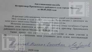 Что М. Ефремов указывает в своей апелляционной жалобе?