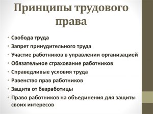 Что из вариантов (см.внутри) понимается под принципами трудового права?