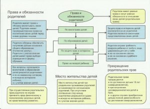 В чём различие между статусами адвоката «прекращён» и «исключён»?