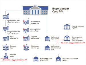 В каких судах (судебных инстанциях) не требуется высшее юридическое ...?