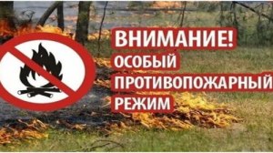 Что запрещено делать во время действия особого противопожарного режима?