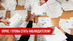 Может ли наблюдатель на выборах голосовать?