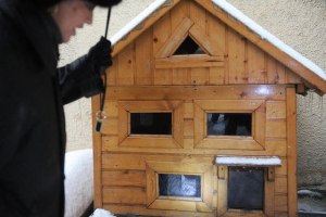 Какие материалы подойдут для утеплённого зимнего домика для кошки во двор?