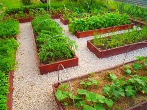 Какие полезные предметы/конструкции вы используете в огороде?