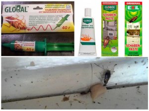 Что класть под гипсокартон от тараканов в квартире, без вреда для себя?