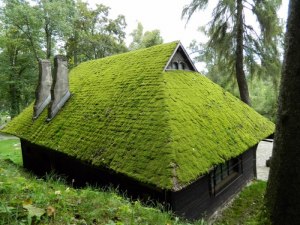 Для чего в скандинавских странах, в деревнях, на крышах домов сеют траву?