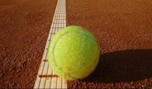 Какие достоинства и недостатки у покрытия теннисит?