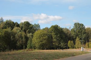 Кто живет в поселке Бризе подскажите все ли ок там с коммуникациями?