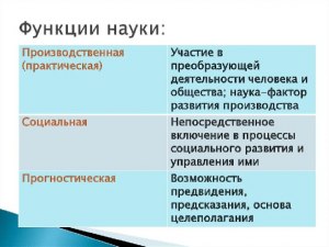 Кто такие "засносовцы"? Какие у них функции?