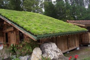 Как сделать травяную крышу в частном доме?