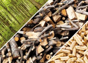 Что можно сделать из отходов древесины?
