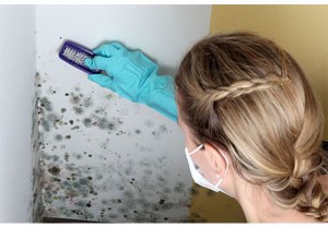 Как убрать запах белизны в квартире после обработки стен от плесени?