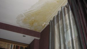 Как высушить стены квартиры после протечки кровли?