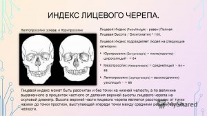 Что такое цефальный индекс (лицевной индекс, черепной указатель)?