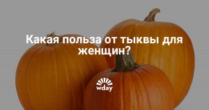 Какая польза тыквы для организма женщины?