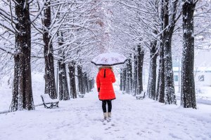 Почему когда выпадает снег, уходит депрессия?