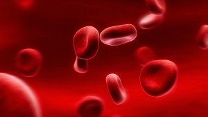 Существуют ли аппараты, которые способны синтезировать клетки крови?