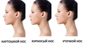 Как у мужчин и женщин с возрастом меняется длина носа?