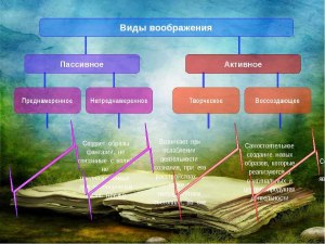 Примеры больного воображения и его плодов какие знаете?