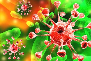 Как отличить вирус от инфекции?