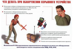 Правда ли что раньше при обнаружении чёрной плесени сжигали дом?